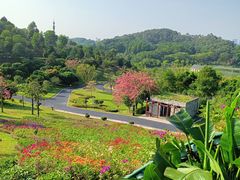 -东莞植物园