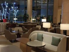大堂-Plush大堂酒廊(北京金融街威斯汀大酒店)