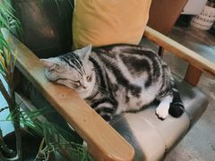 -咖法森林·咖啡  酒吧(天河店)