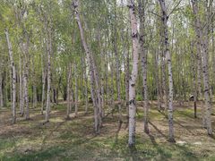 -长春市南湖公园