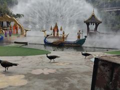 -西双版纳原始森林公园
