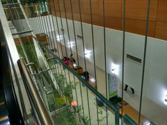 -首都医科大学附属北京潞河医院