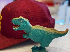 -解家河南菜(商鼎路店)