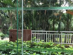 -麒麟中餐厅·经典粤菜·地道菜式老字号(广州长隆酒店)