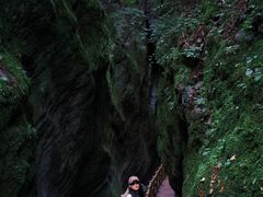 -牛背梁国家森林公园