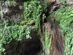 -龙水峡地缝景区