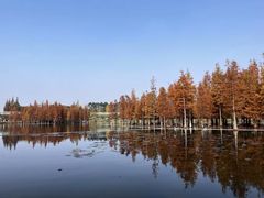 -白鹭湾湿地公园