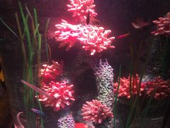 -沈阳海洋探索中心