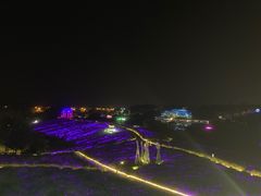 -大塘金香草谷
