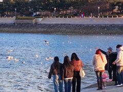 -巧克力渔家.小船海鲜胶东菜(万平口店)