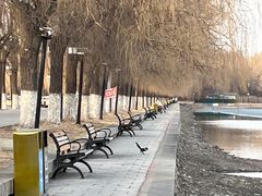 -北陵公园