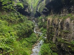 -鹿院坪生态旅游景区