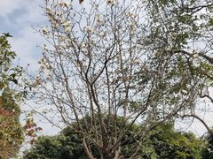 -中国移动南方基地