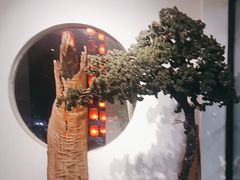 -同和·小葱伴豆腐(凤凰北路店)