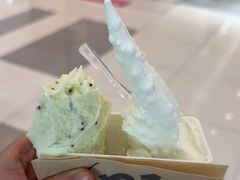 -野人先生Gelato(上海长宁龙之梦店)