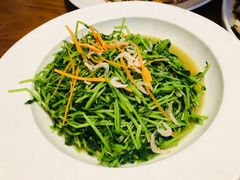 清炒蚕豆叶-浙C老邻舍(西城海错店)