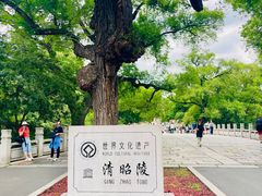 -北陵公园