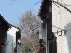 -运河游船(武林门码头)