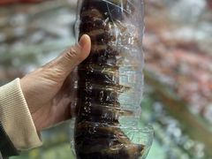 -鲤鱼门海鲜街