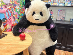 -轩客会(熊猫书店)