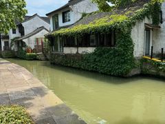 -鲁镇