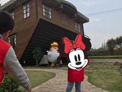 -金山农民画村-枫泾波兰倒置屋