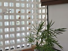 -扫雪煮茶(西村店)