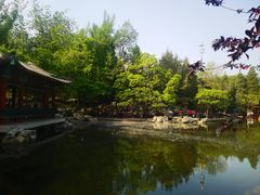 -宣武艺园