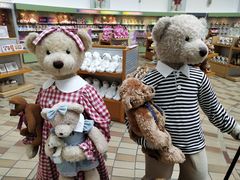 -济州岛泰迪熊博物馆