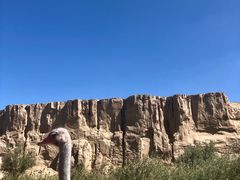 -水洞沟旅游区
