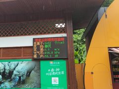 -野象谷景区