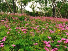 -杭州城北体育公园