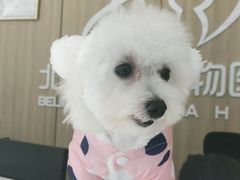 -北京恒爱动物医院(清景园分院)