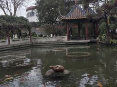 -碧江金楼
