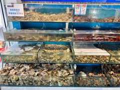 -仙螺岛海鲜自助餐厅(总店)