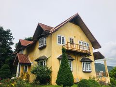-黄色小屋
