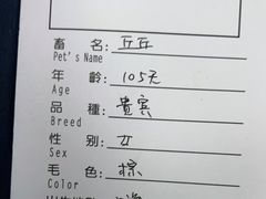 -申普宠物医院·心脏介入·心血管微创(总院)
