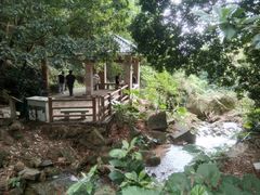 -火炉山森林公园