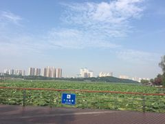 -月湖风景区