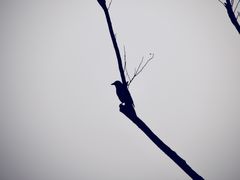 -天鹅湖体育公园