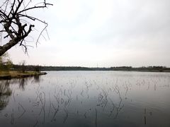 -上海海湾国家森林公园