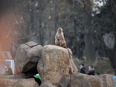 -西安秦岭野生动物园