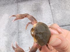 -天津东疆湾沙滩景区