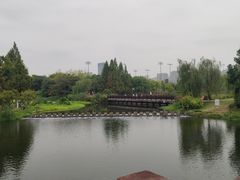 -洋湖国家湿地公园