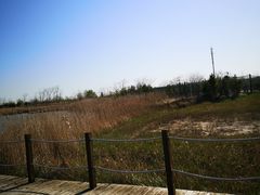 -盐城丹顶鹤湿地生态旅游区