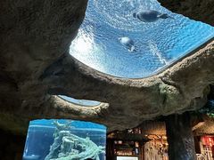 -珠海横琴长隆《卡卡虎奇遇记》