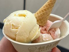 -极拉图·现制冰淇淋(梅溪湖新天地步步高店)