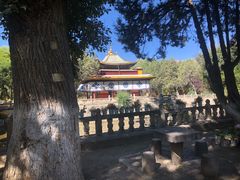 -罗布林卡