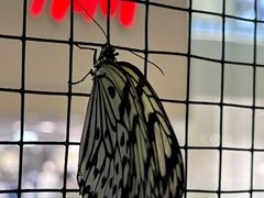-LuOne凯德晶萃广场(徐家汇路店)
