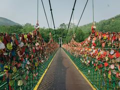 -西双版纳原始森林公园